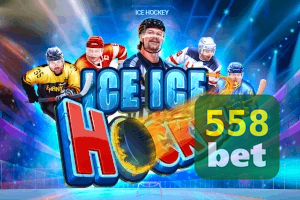558BET feedback — categorias de sugestão e melhoria no app