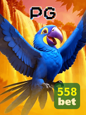 558BET bônus — cashback 15 por cento e níveis VIP